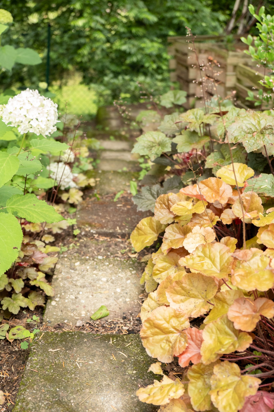 Natürlich gärtnern Meine ersten Schritte BUNT im BEET